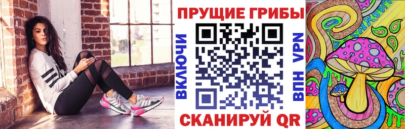 Галлюциногенные грибы мухоморы Сычёвка
